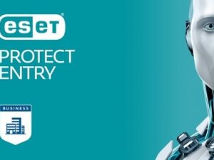 ESET PROTECT Entry