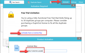 Dupinout-Duplicate-Finder-Activation