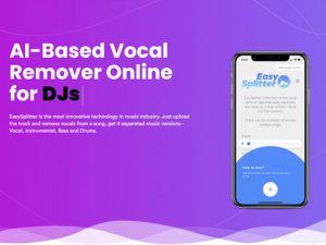 EasySplitter Pro Vocal Remover