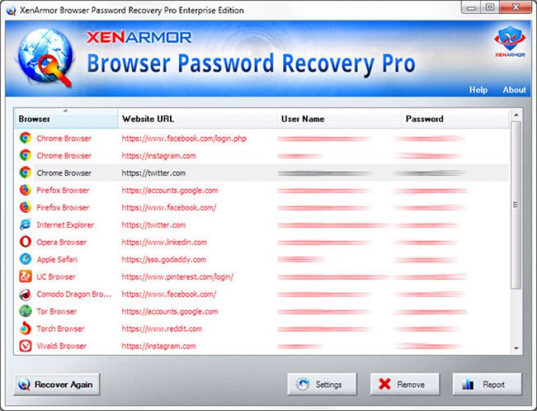 Giveaway — Browser Password Recovery Pro 2021