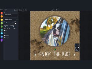 93% off Discount – piZap Pro: Lifetime Subscription – Over 50 Million Users! Edit Photos, Design Collages, Make Emojis & More