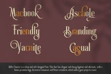 Giveaway >Fonts > Serif : Roller Coaster Serif (Bonus) – that is decorative, vintage and antique and elegant