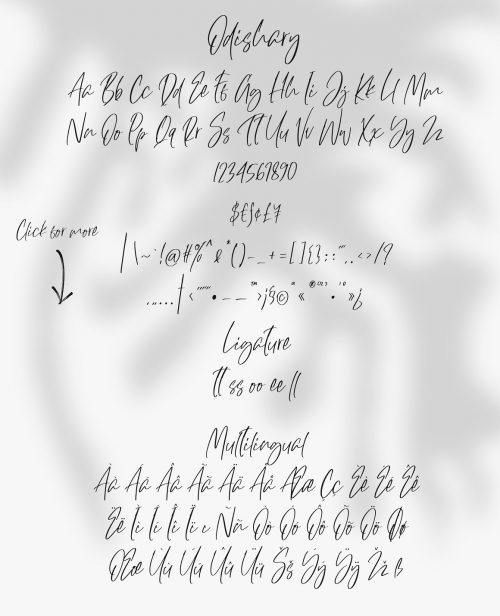 Giveaway Odishary & Modric Font Duo