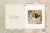Web Themes > WordPress > Business  : Bloom – Business, Shop, Blog theme